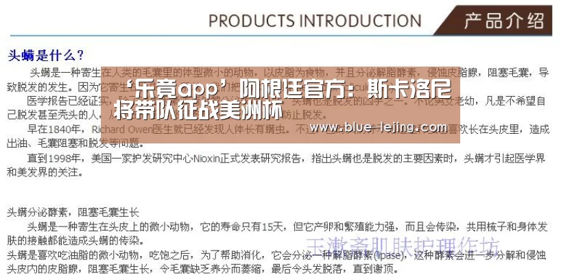 ‘乐竟app’阿根廷官方:斯卡洛尼将带队征战美洲杯(图3) 乐竟体育平台官网