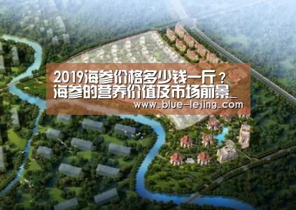 2019海参价格多少钱一斤？海参的营养价值及市场前景_乐竟体育app