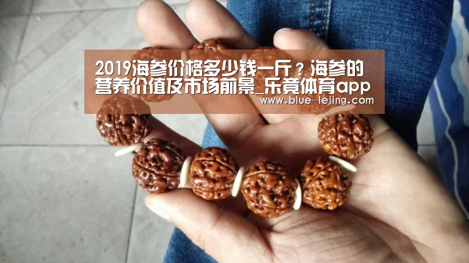 乐竟体育官网