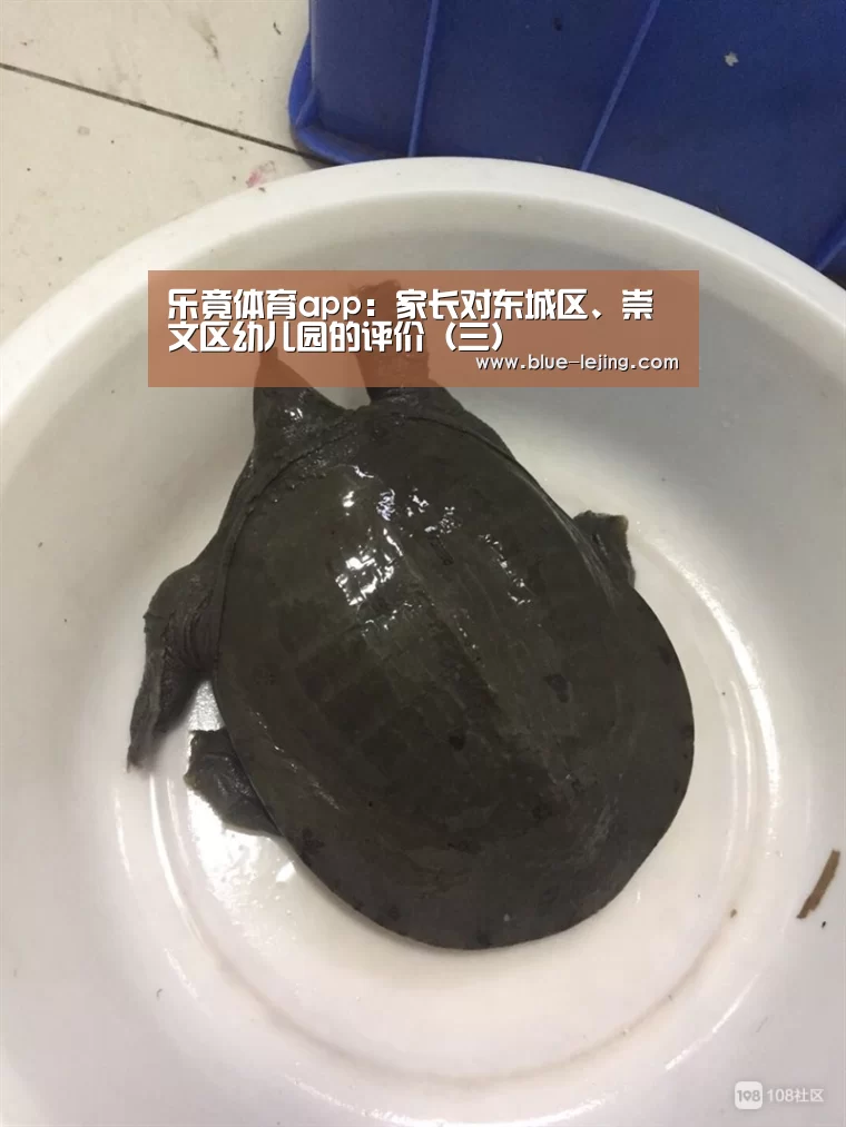 乐竟体育app：家长对东城区、崇文区幼儿园的评价（三）