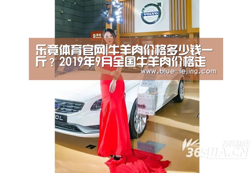 乐竟体育官网|牛羊肉价格多少钱一斤？2019年9月全国牛羊肉价格走势分析