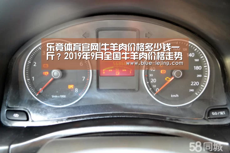 乐竟体育app