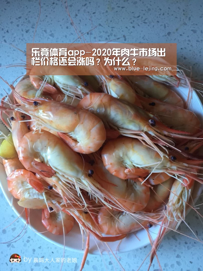 乐竟体育平台官网
