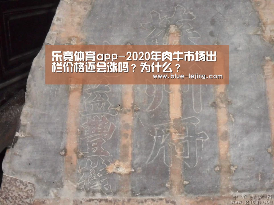 乐竟体育平台官网