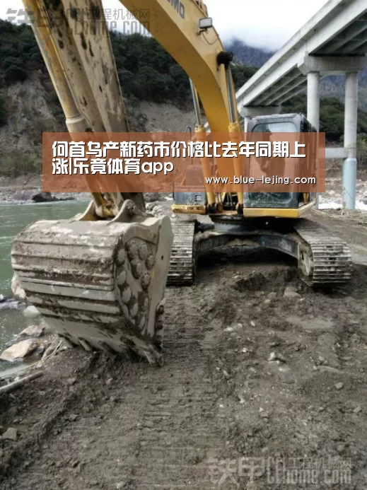 乐竟体育app