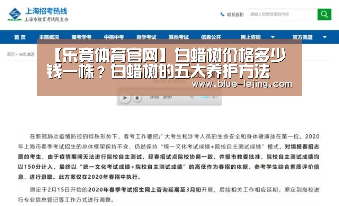 【乐竟体育官网】白蜡树价格多少钱一株?白蜡树的五大养护方法(图3) 乐竟体育app