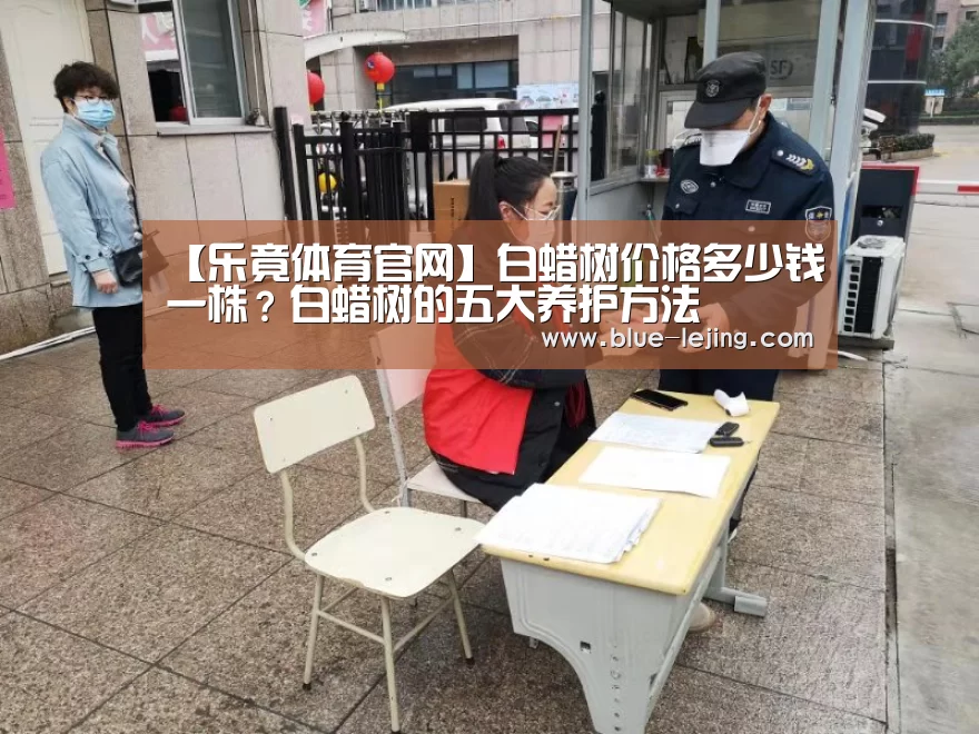 【乐竟体育官网】白蜡树价格多少钱一株？白